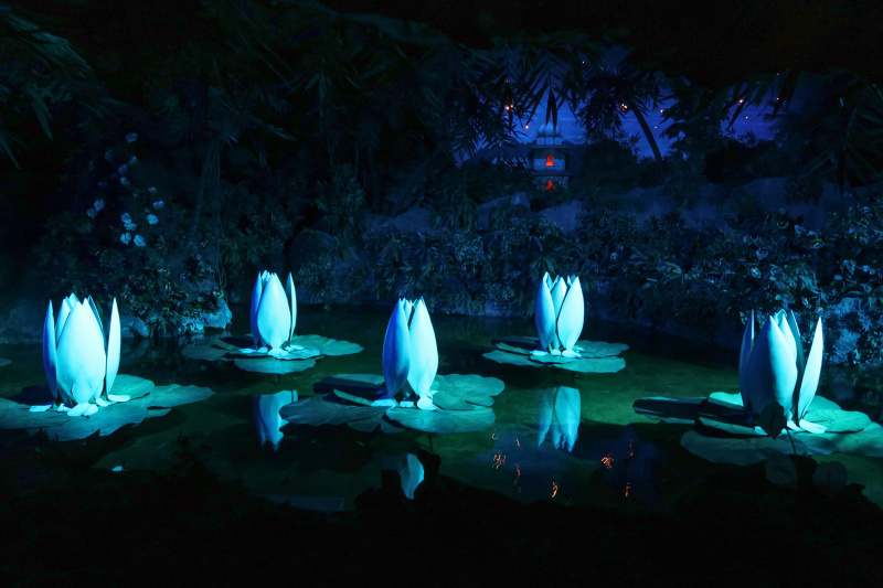 Bestand:Waterlelies Show 2024 2.jpg
