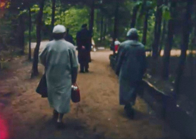 Bestand:Sprookjesbos-pad-onverhard-vermoedelijk1957.jpg