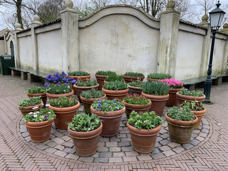 Bestand:Hoekje-bloempotten-pieckplein.jpg