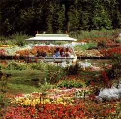 De bloemenzee van de Gondoletta in 1988
