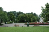 Ton van de Venplein, overzicht