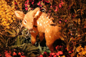 Hert in <a href="/lemma/Droomvlucht" title="Droomvlucht">Droomvlucht</a>.