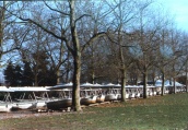 Winter 1998