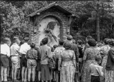 <a href="/lemma/Sprekende_Papegaai" title="Sprekende Papegaai">Sprekende Papegaai</a> eind jaren 50 op ansichtkaart Natuurpark de Efteling