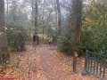 <a href="/lemma/Rookzone" title="Rookzone">Rookzone</a> aan het uitgangspad van <a href="/lemma/Droomvlucht" title="Droomvlucht">Droomvlucht</a>, op de achtergrond het muurtje van het <a href="/lemma/Stoomtrein" class="mw-redirect" title="Stoomtrein">Stoomtreintraject</a>, november 2022.