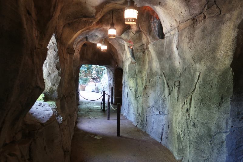 Bestand:PandaDroom Wandelwoud Grot.jpg