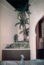 Harem, 02-1986. Het wat loze linkergedeelte van de Harem-scène, een hoekje met kunstgroen en enkele palmen.