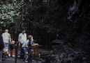 <a href="/lemma/Draak_Lichtgeraakt" title="Draak Lichtgeraakt">Draak Lichtgeraakt</a> in <a href="/lemma/1983" title="1983">1983</a>