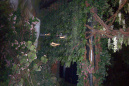 Elfenarmpjes in de <a href="/lemma/Elfentuin" title="Elfentuin">Elfentuin</a> in <a href="/lemma/Droomvlucht" title="Droomvlucht">Droomvlucht</a>, te zien voor wie &#039;n beetje buiten z&#039;n gondeltje kijkt, januari <span class="redlink">2009</span>