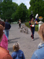 <a href="/lemma/Ganzenfanfare" class="mw-redirect" title="Ganzenfanfare">Ganzenfanfare</a>, 2006