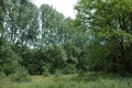 Terrein van voormalig bungalowpark <a href="/lemma/Het_Kraanven" title="Het Kraanven">Het Kraanven</a>, zomer 2009