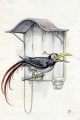 Ontwerp voor <a href="/lemma/Krakeeltje" title="Krakeeltje">Krakeeltje</a> met huisje. Bron: Expositie &#039;Roodkapje&#039; in het <a href="/lemma/Anton_Pieck_Museum" title="Anton Pieck Museum">Anton Pieck Museum</a> in Hattem via Anthony Hanssens
