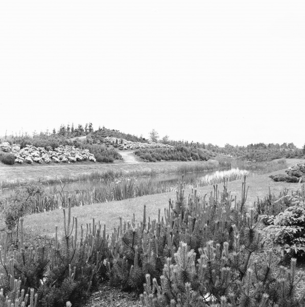 Bestand:Siervijver1958NA-6.jpg