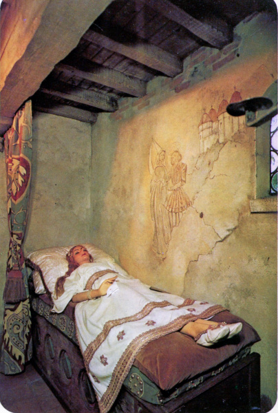 Bestand:Doornroosjejarenzeventig.jpg