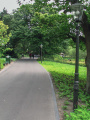 Het <a href="/lemma/Krentenpad" class="mw-redirect" title="Krentenpad">Krentenpad</a> in juli <a href="/lemma/2008" title="2008">2008</a>