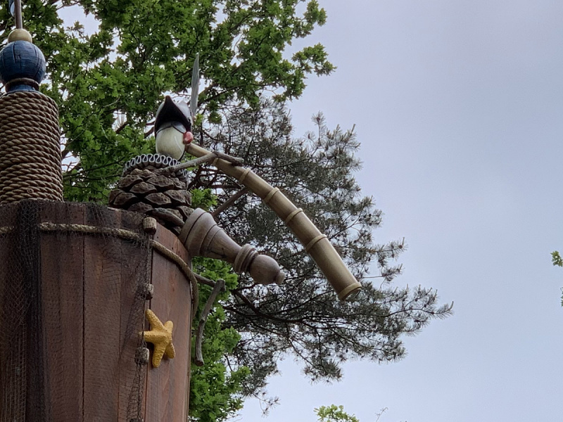 Bestand:Nest dennenmannetje dvh.jpg