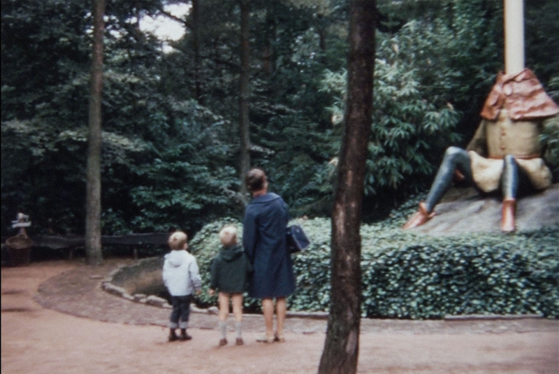 Bestand:Pleinlangnek-eind60.jpg